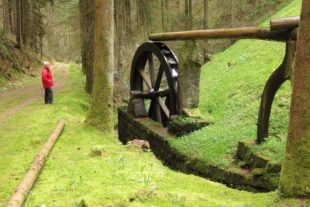 2018-11-16-ZE-UE-fh-Wandergruppe-Abschlusswanderung Nordrachtal-Wasserrad im Michelbach