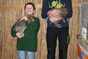 2018-11-2-BI-jp-Pressebericht C12 2018 Jugend