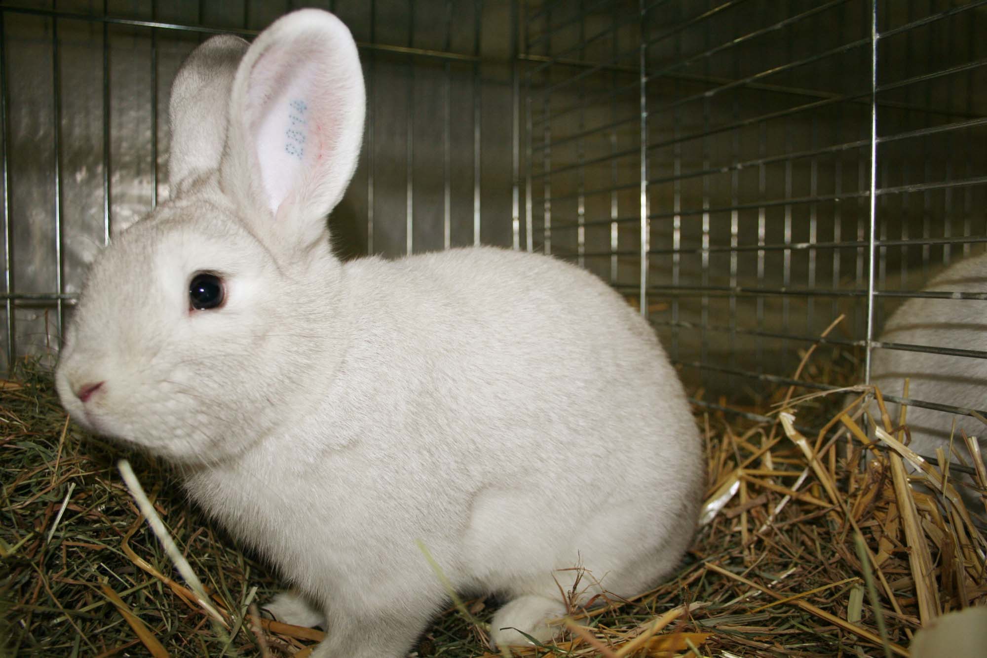 2018-11-2-BI-jp-Pressebericht C12 2018 Schwarzgrannen