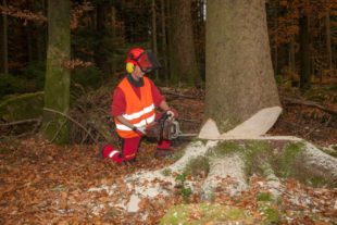 2018-11-23-OH-kal-Silke Stößer-zzvkIMG_5723b