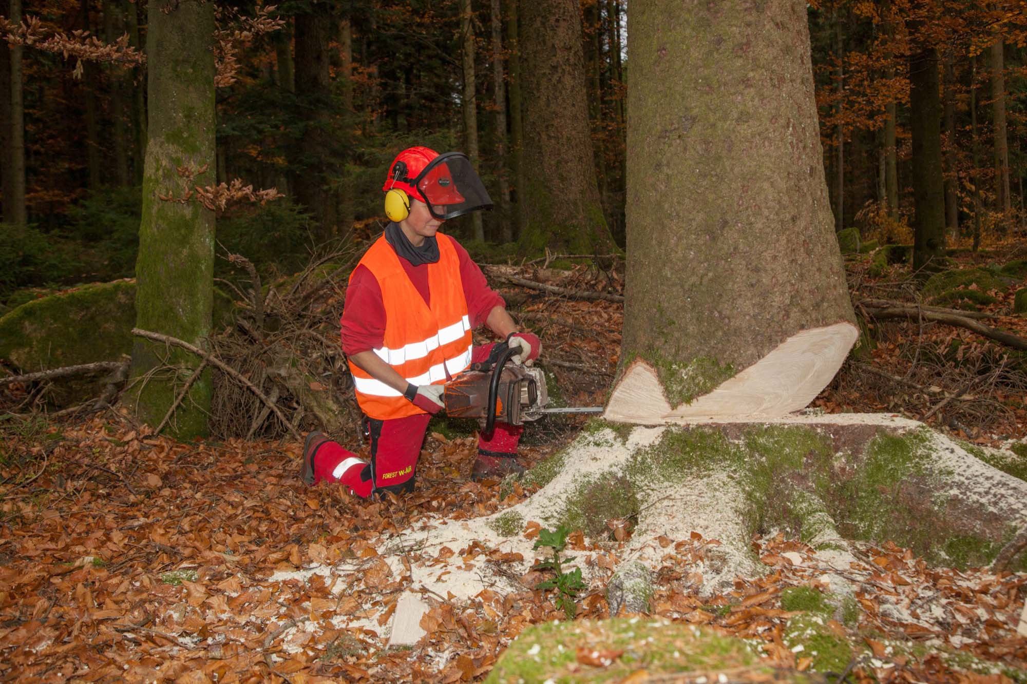 2018-11-23-OH-kal-Silke Stößer-zzvkIMG_5723b