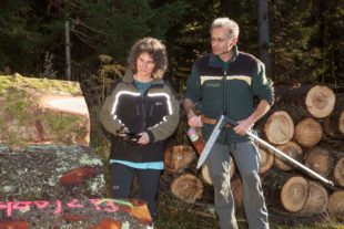 Mit dem Wald verbunden