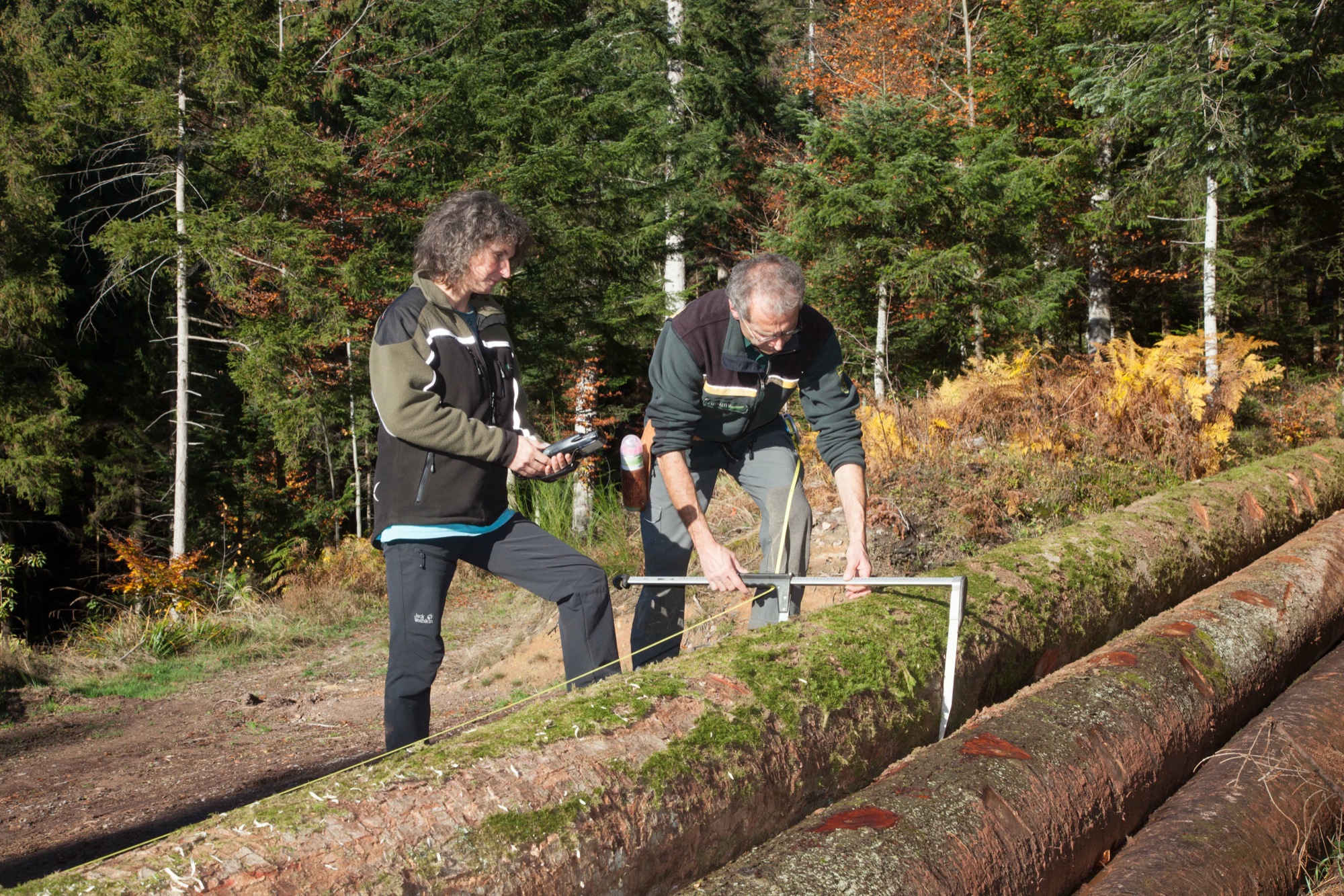 2018-11-23-OH-kal-Silke Stößer-zzvkIMG_5768b