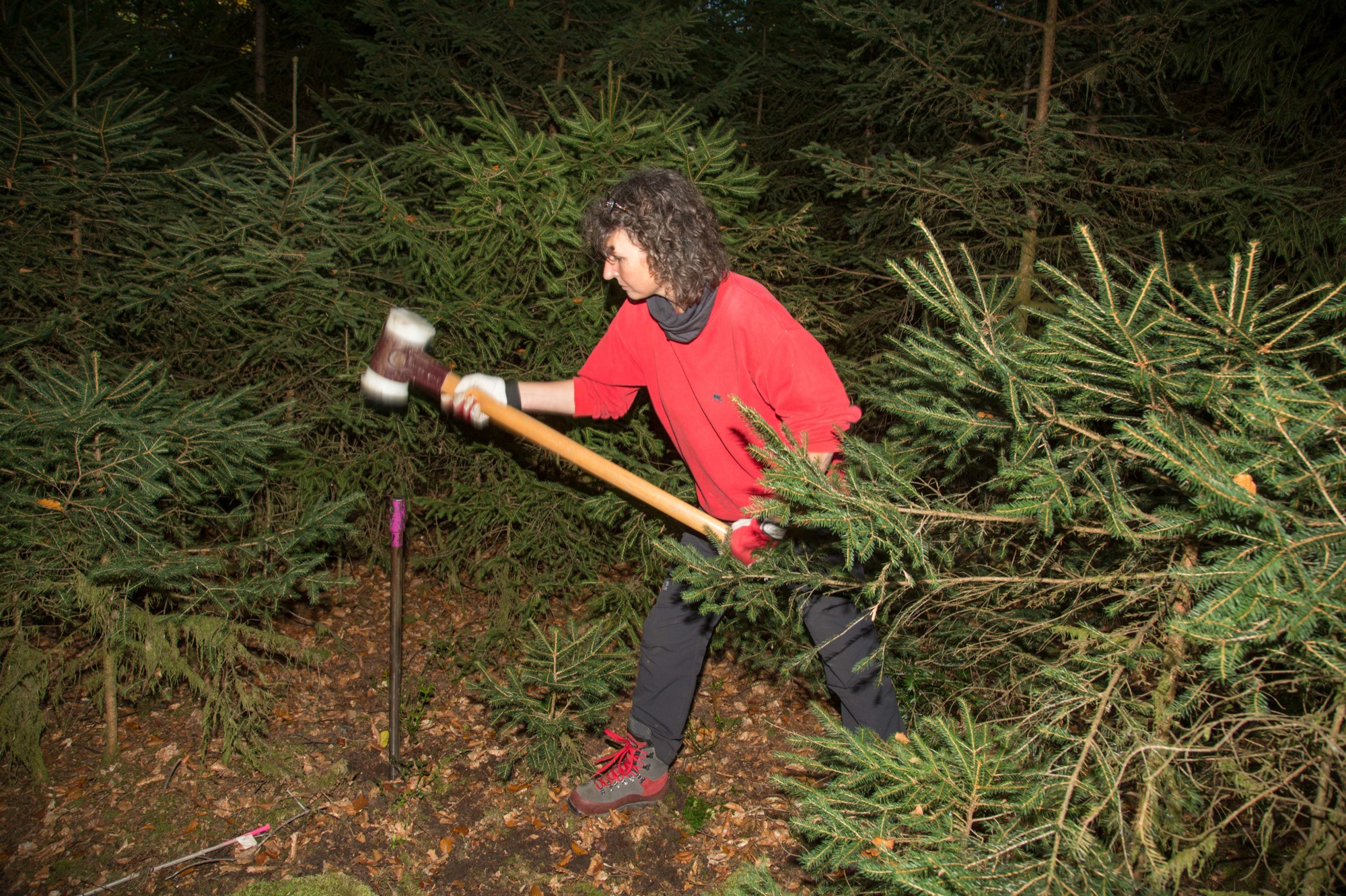 2018-11-23-OH-kal-Silke Stößer-zzvkMG8A9970b