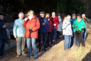 2018-11-28-ZE-UH-fho-WuF-11. Wandertag auf die Germatt-ALIM0355