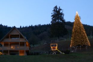 2018-12-21-NO-bia-Friedensfichte-Lichter nebellos