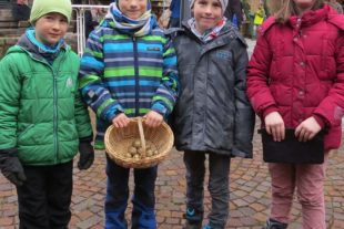2018-12-3-BI-ga-Biberacher Weihnachtsmarkt am ersten Advent 2018-IMG_4952