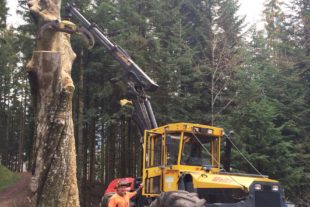 2018-12-7-OH-Landolin Jilg-Lafeide Buche-AITG1390