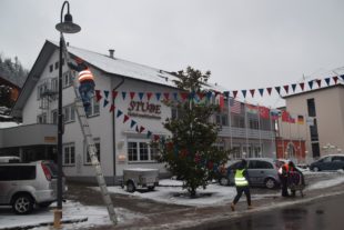 2019-1-14-NO-hv-Fasentdeko-DSC_2091