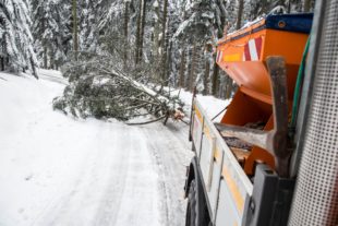 2019-1-14-OH-kal-Brandenkopf-zvkMG8A0173b