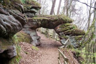 2019-1-18-ZE-UH-ibr-WuF-Wanderung Pfalz-Unbenannt