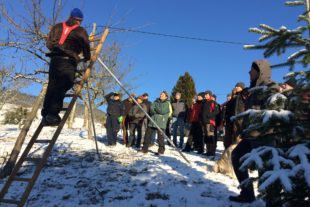 2019-1-23-OH-Anja Jilg-BLHV Oberharmersbach-Obstbaumschnittkurs-IMG_1627