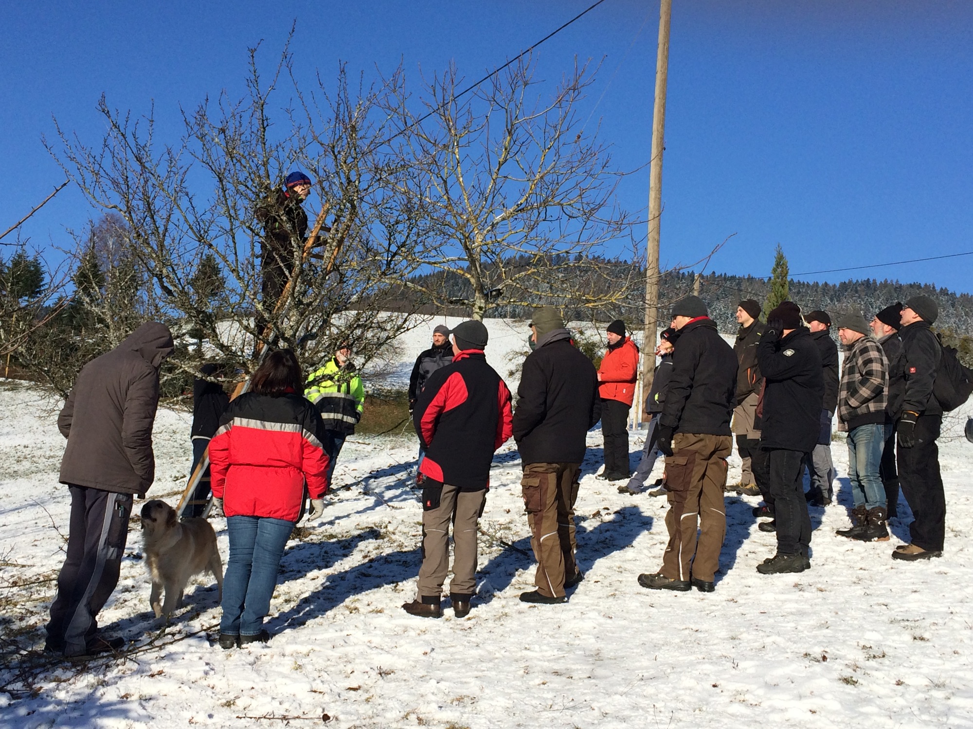 2019-1-23-OH-Anja Jilg-BLHV Oberharmersbach-Obstbaumschnittkurs-IMG_1629