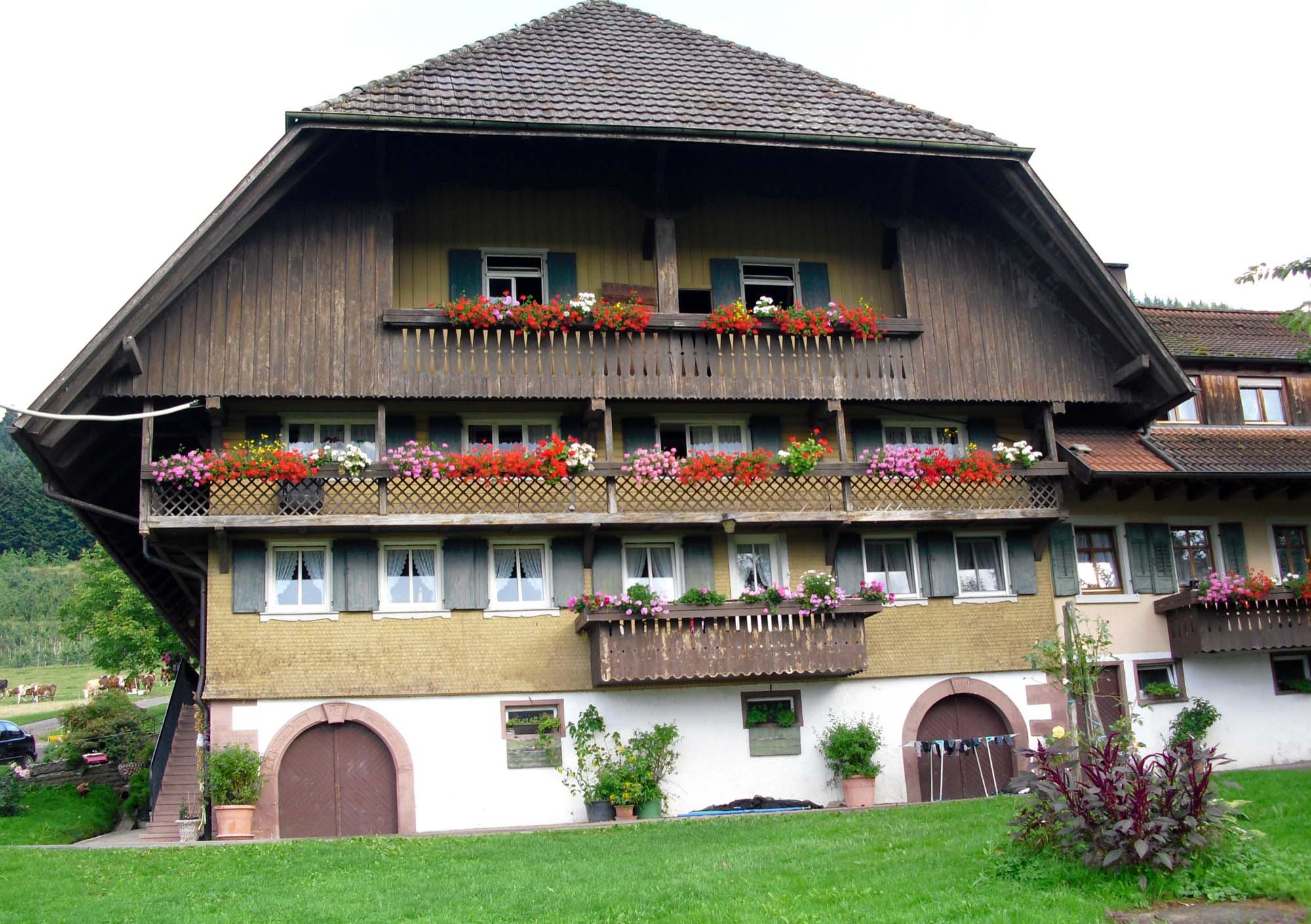 2019-1-23-ZE-Bühlhof Hinterhambach-Betriebsbesichtigung-Bühlhof