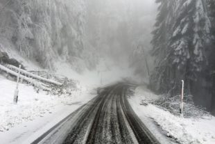 2019-1-7-OG-Landratsamt-Schneebruch2