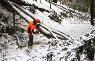 Gefährdung durch Schneebruch hält an