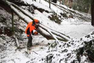 2019-1-9-OH-kal-Schneebruch-zvkMG8A0058