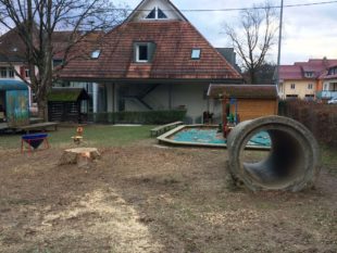 Leserzuschrift: Baumfällung in Unterentersbach