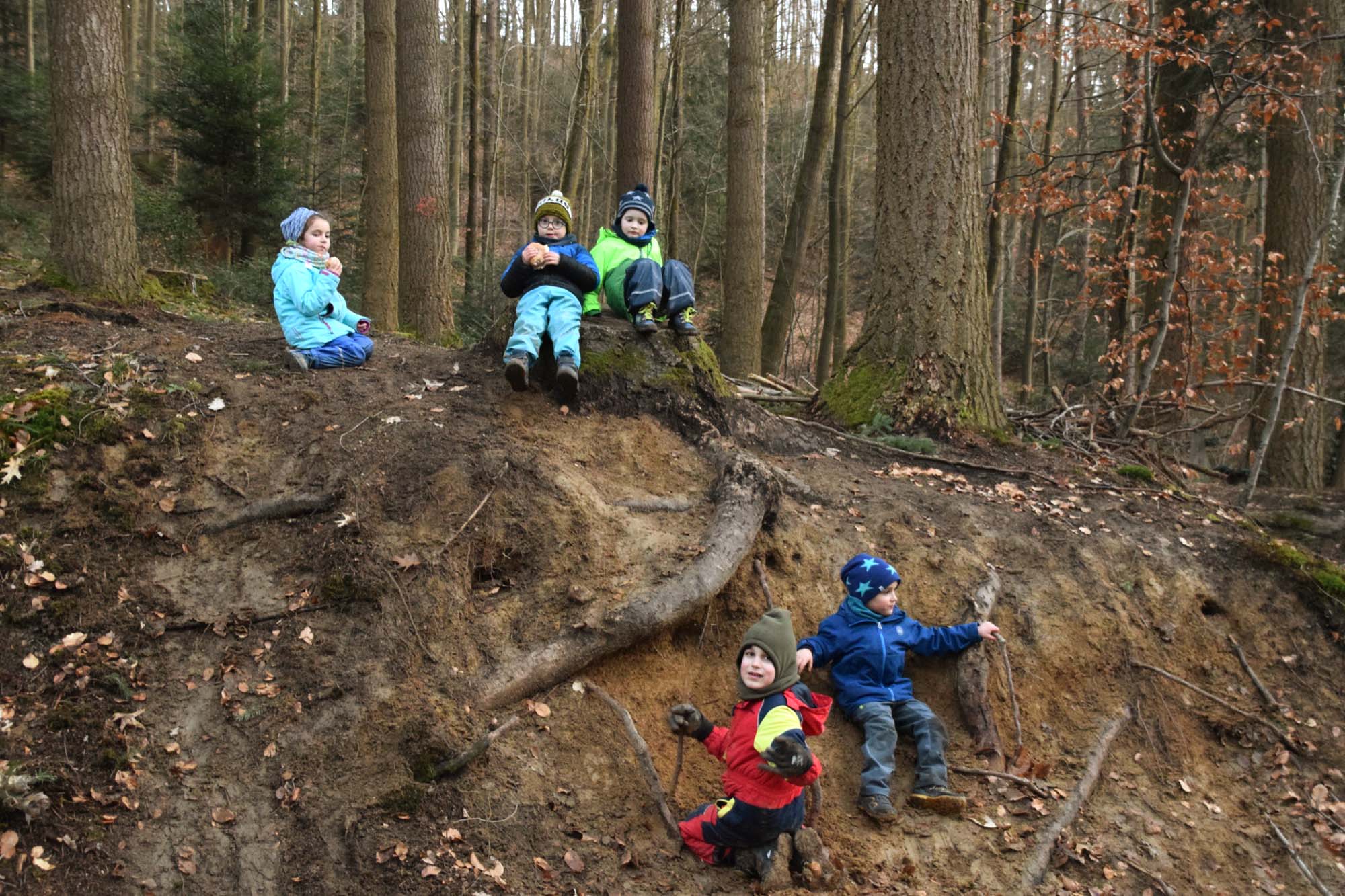 2019-2-15-BI-Katharina Vollmer-190212 Lichterfest Waldplatz (37)