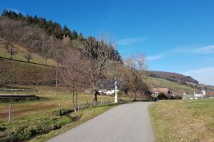 2019-2-15-BI-PB-Karen Obergföll-Naturkindergarten Prinzbach-20190214_141612