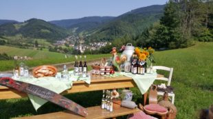 Was passt zum »Natürlichen Dorfurlaub« in Nordrach?