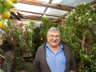 Altehrwürdiges im Gewächshaus