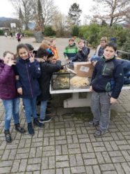 In der Schule sind die Schnecken los!