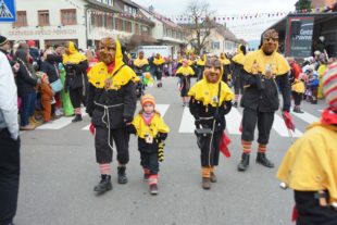 2019-2-27-BI-hps-Archivbild Umzug Biberach-DSC_5532