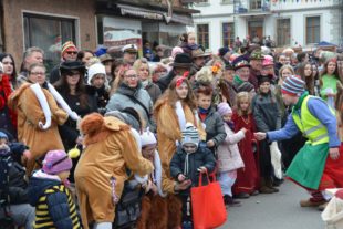 2019-2-27-BI-hps-Archivbild Umzug Biberach-DSC_5585