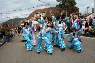 2019-3-2-Biberach-Fasentumzug 2019-Foto Hanspeter Schwendemann-DSC_4658 2