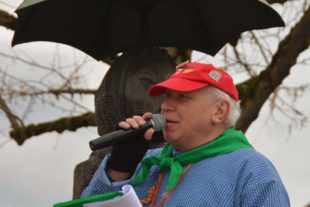 2019-3-2-Biberach-Fasentumzug 2019-Foto Hanspeter Schwendemann-DSC_4739 2