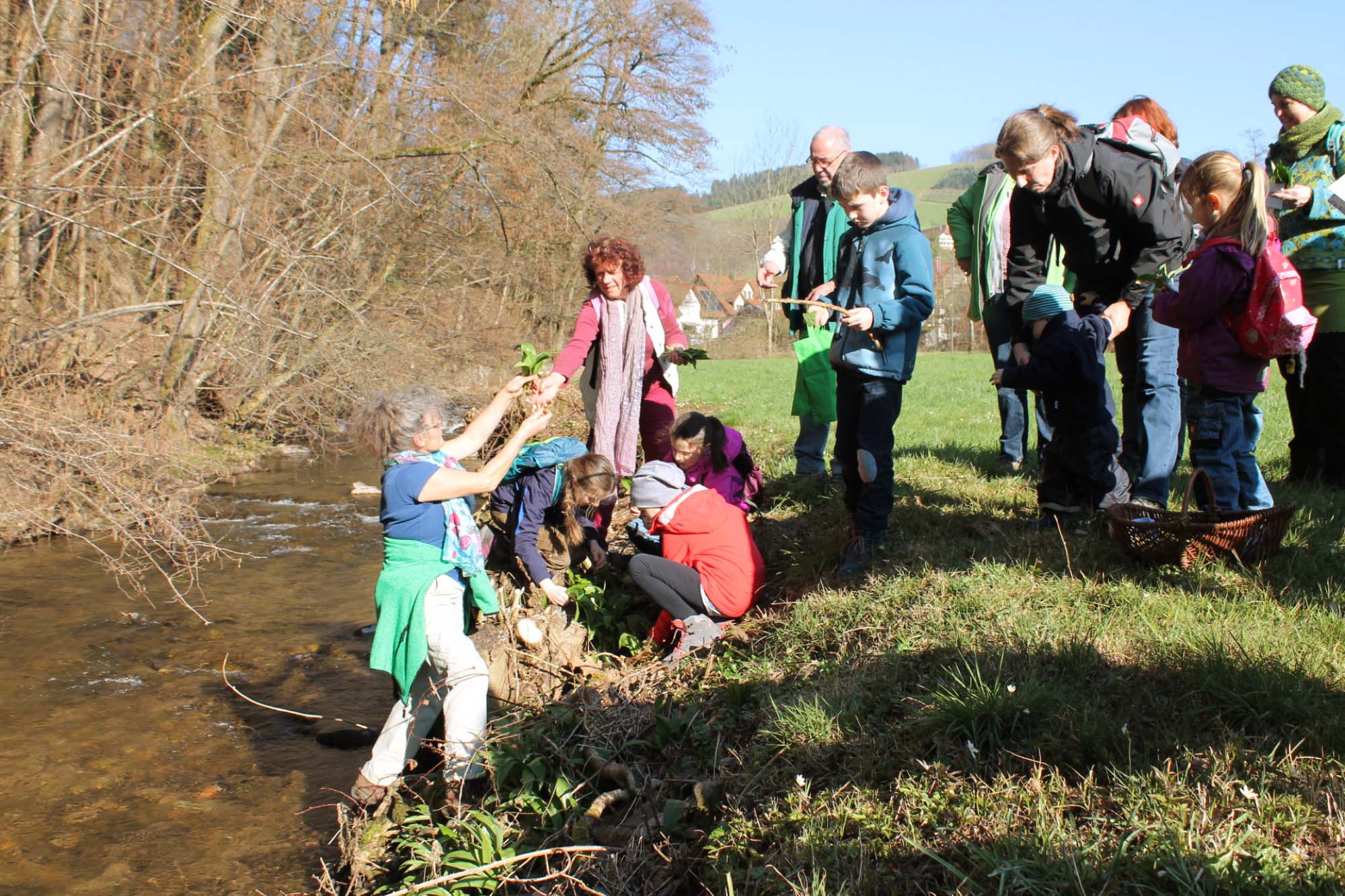 2019-3-20-OH-Jill Löffler-Bärlauch-Wochen OH-Am Harmersbach wird mit Monika Heizmann Bärlauch gesammelt_Bärlauch gemixt!