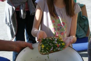 2019-3-20-OH-Jill Löffler-Bärlauch-Wochen OH-Frisch gesammelt und so lecker_Bärlauch-Kräuter-Blüten-Brot