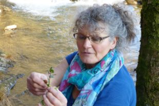 2019-3-22-OH-bia-Bärlauch+ GUndermann 1