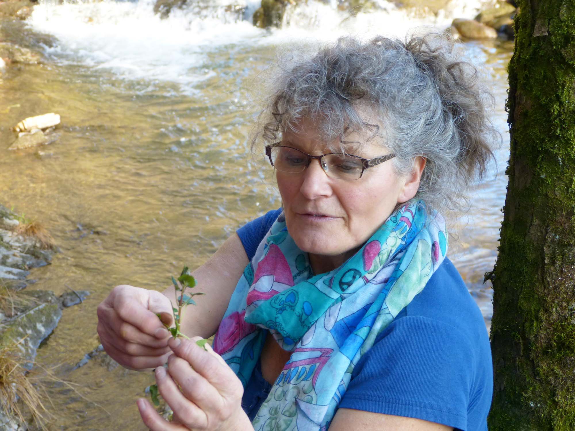 2019-3-22-OH-bia-Bärlauch+ GUndermann 1