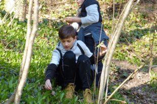 2019-3-22-OH-bia-Bärlauch+ Jungen beim Pflücken 4