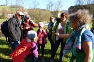 2019-3-22-OH-bia-Bärlauch+ Wer weiß was es ist - Sauerampfer