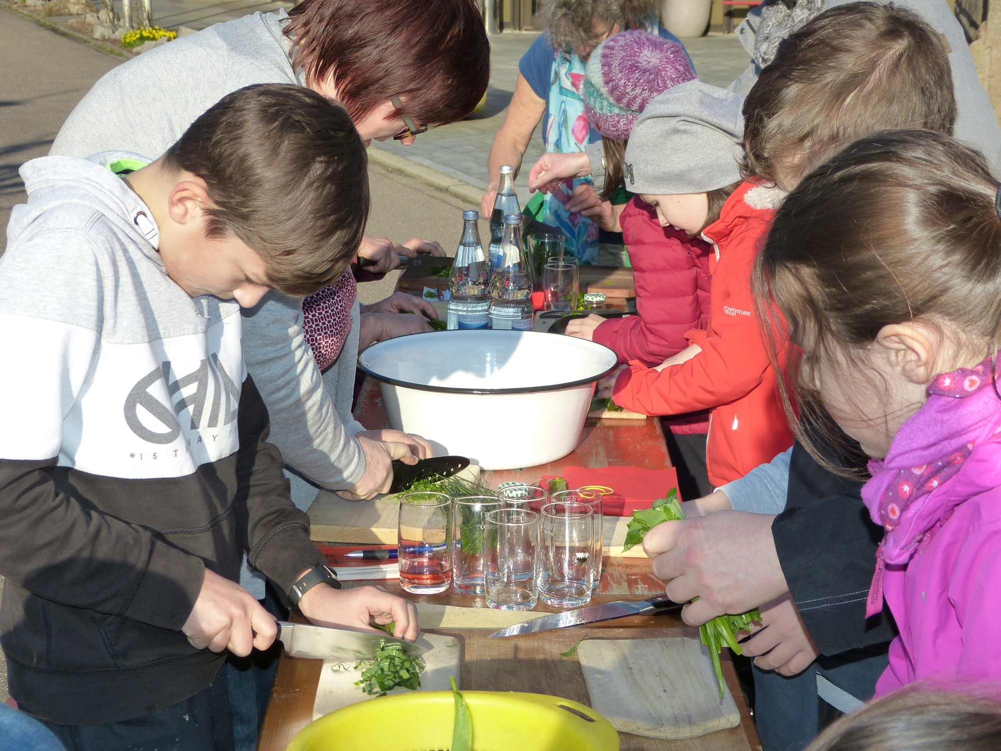 2019-3-22-OH-bia-Bärlauch+ gemeinsames Bärlauchschneiden