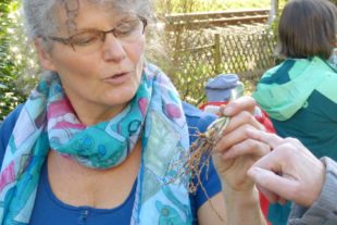 2019-3-22-OH-bia-Bärlauch+Monika + Bärlauchzwiebeln