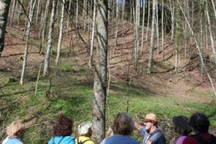 2019-3-29-OH-Tourist-Info-Bärlauch-Erlebniswanderung