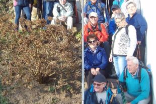 2019-3-6-Zell-Unterharmersbach-Wander- und Freizeitverein-Senioren-2. Wandertag-Foto Franz Hoferer-ALIM0384