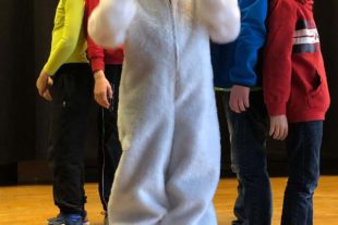 2019-3-8-NO-Narrenzunft Nordrach-Nordracher Fasent 2019-5