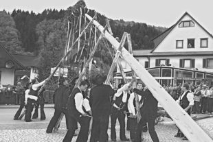 2010-4-29-OH-ko-35-Maibaum09-3