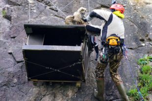 2019-2-15-BI-Helmut Krannich-Vogelbilder Krannich-Uhu-Bild (4)