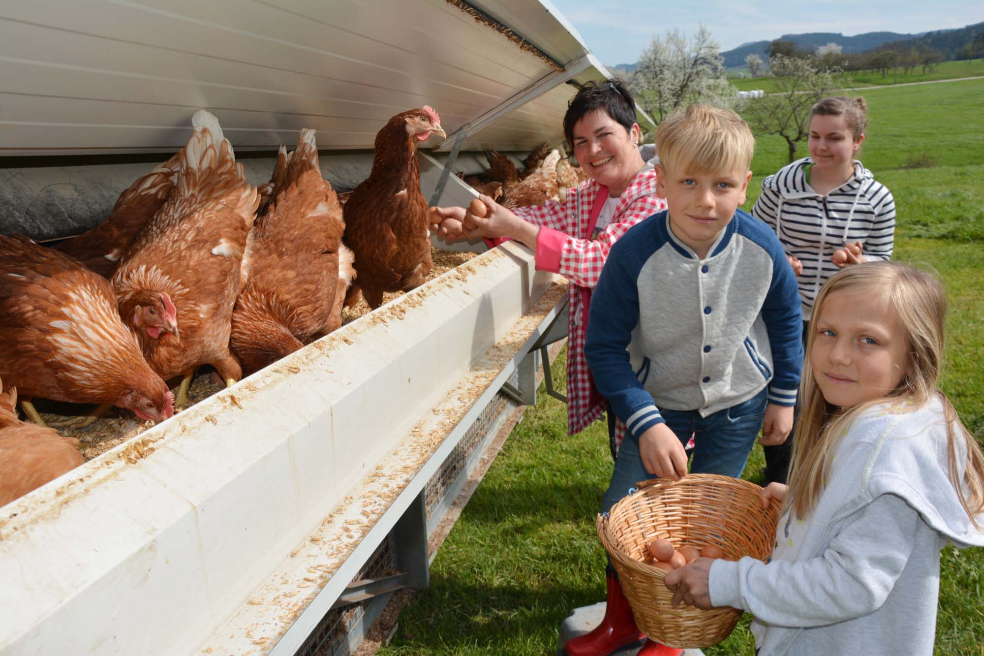 2019-4-12-ZE-UH-hps-Mattenhof Hühnermobil-DSC_6153 2