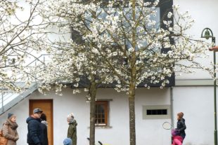 2019-4-15-BI-vo-Ostermarkt DSCF6868