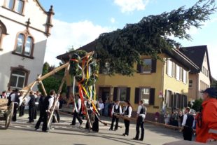 2019-4-18-OH-Evelyn Brüggemann-WKO-Pressefoto Maibaumstellen_WKO