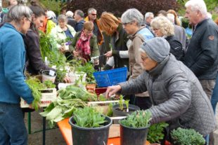 2019-4-29-ZE-UE-bia-Pflanzentauschtag-SP Aussuchen 2