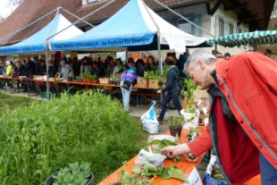 2019-4-29-ZE-UE-bia-Pflanzentauschtag-SP Gesamtansicht