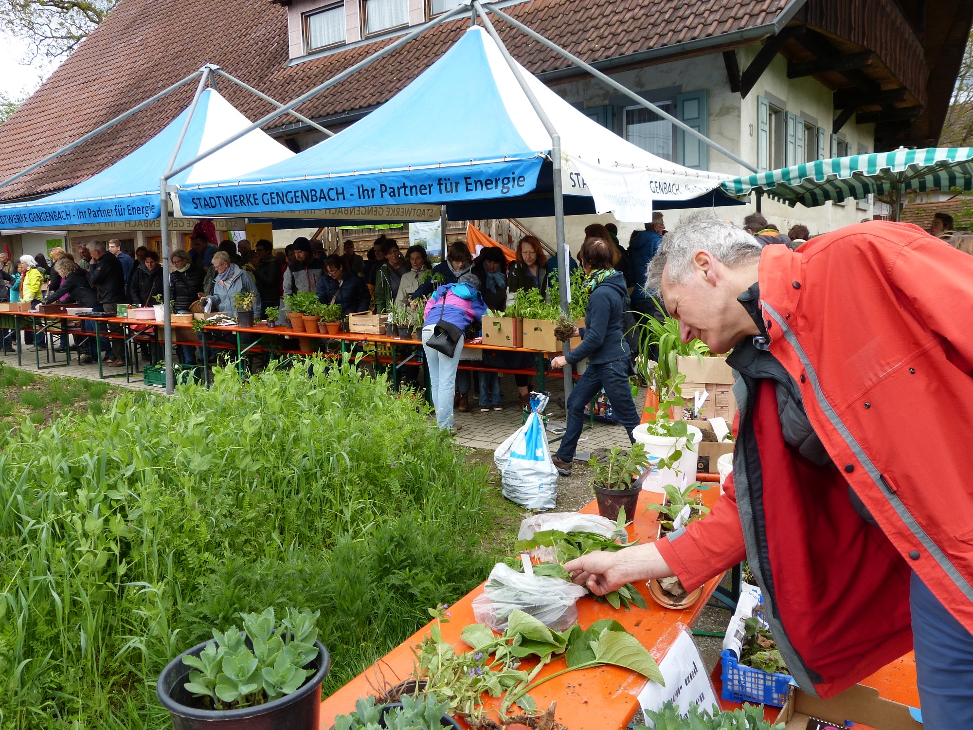 2019-4-29-ZE-UE-bia-Pflanzentauschtag-SP Gesamtansicht